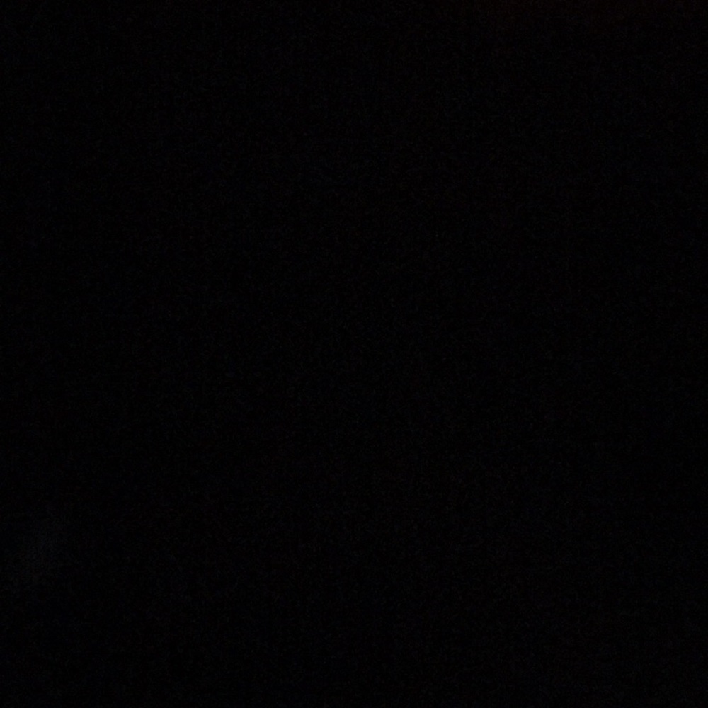 Meet your Posher, Camryn